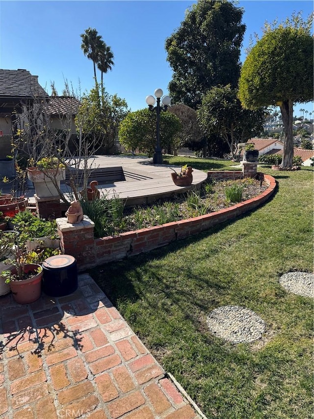 view of yard featuring a patio area