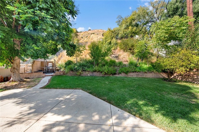 view of yard with a patio and a mountain view