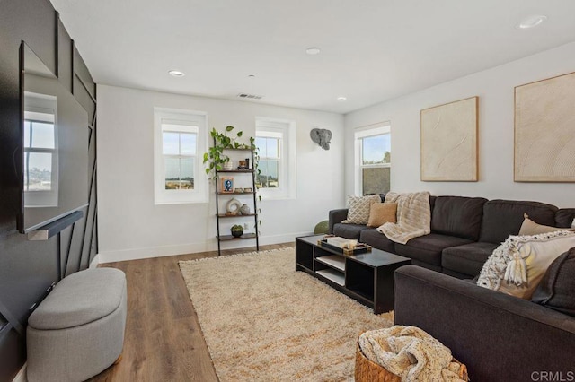 living room with dark hardwood / wood-style floors