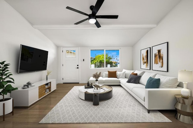 living room with lofted ceiling with beams, dark hardwood / wood-style floors, and ceiling fan