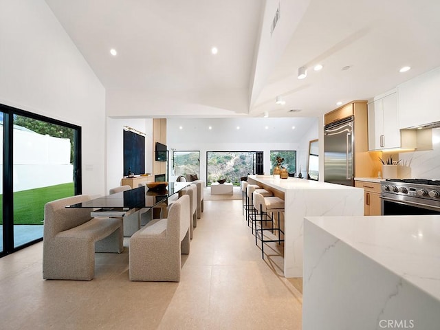 interior space with high vaulted ceiling