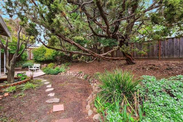 view of yard featuring a patio