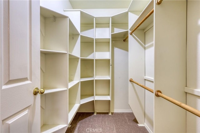 spacious closet featuring carpet floors