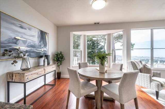 dining room with radiator heating unit, dark wood-type flooring, and a wealth of natural light