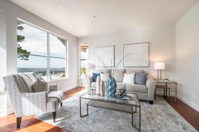 living room with hardwood / wood-style floors and radiator