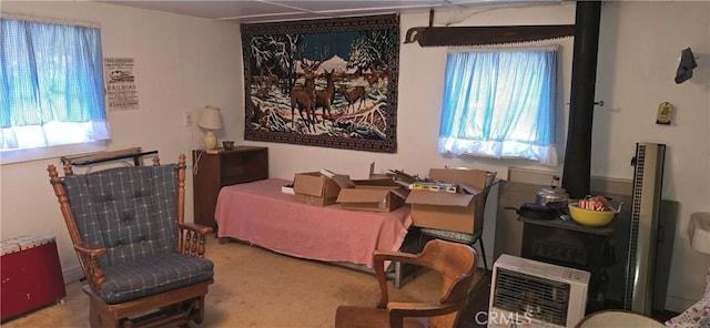 living area with heating unit and carpet floors