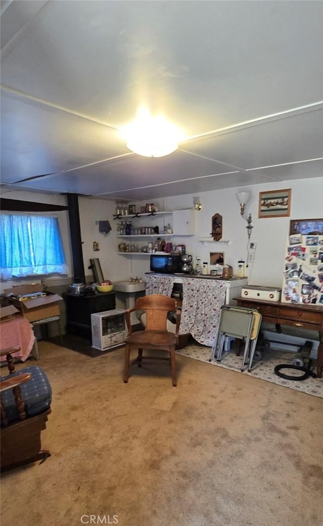 interior space with carpet floors