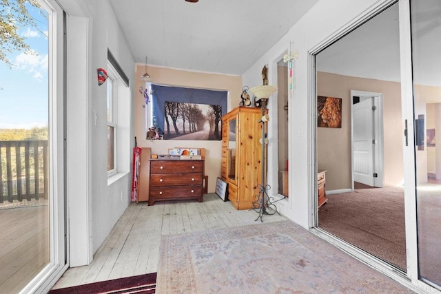 hall featuring light hardwood / wood-style floors