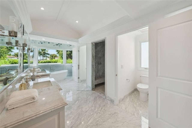 full bathroom featuring vaulted ceiling, vanity, separate shower and tub, and toilet