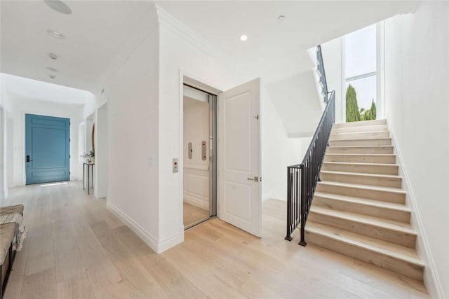 hallway with crown molding and light hardwood / wood-style flooring