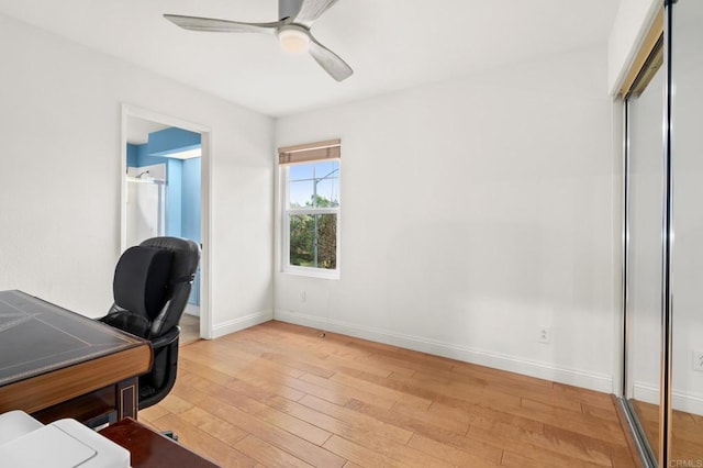 office featuring ceiling fan and light hardwood / wood-style flooring