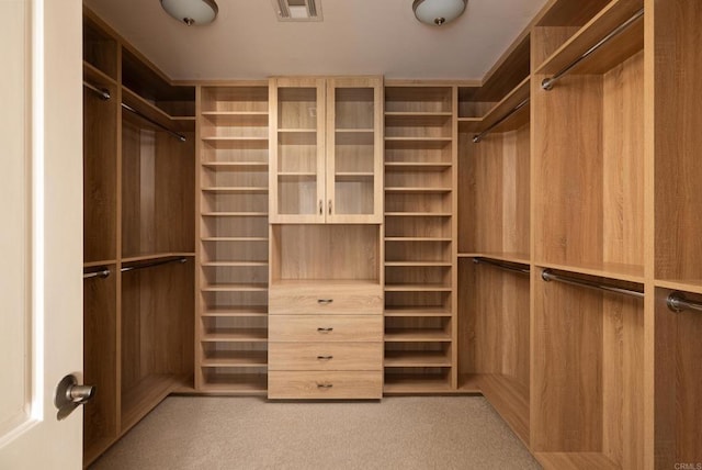 spacious closet with light carpet