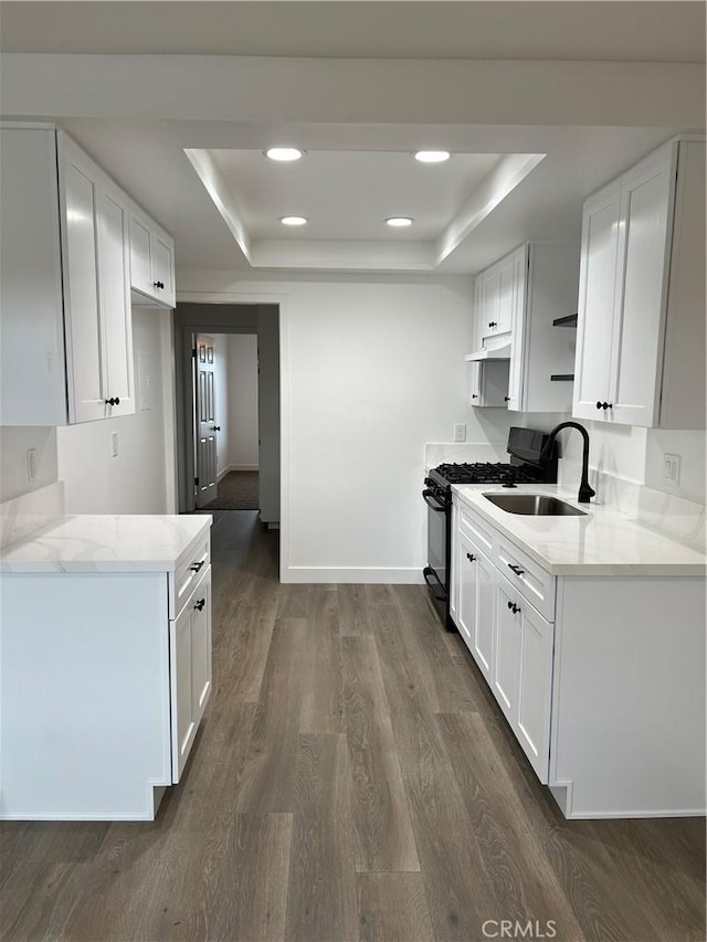 kitchen with a raised ceiling, black gas stove, sink, and white cabinets