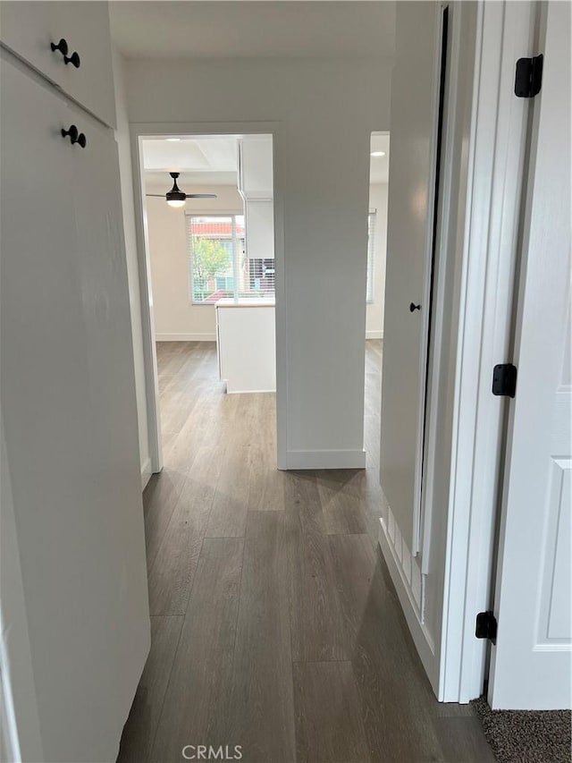 corridor with dark wood-type flooring