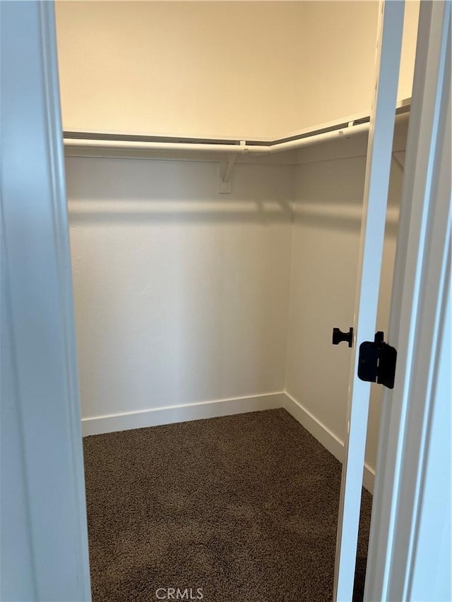 spacious closet with carpet