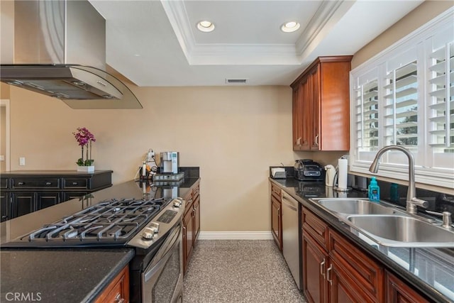 kitchen with sink, crown molding, appliances with stainless steel finishes, island exhaust hood, and a raised ceiling