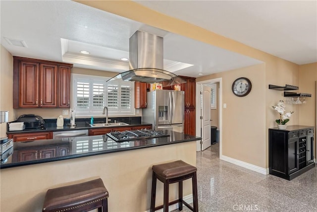 kitchen with appliances with stainless steel finishes, a tray ceiling, sink, island exhaust hood, and kitchen peninsula