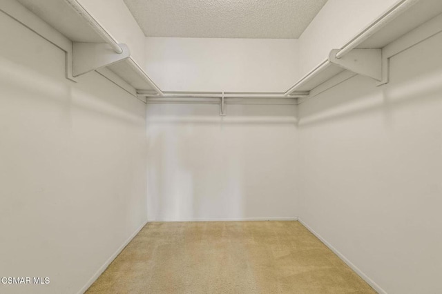 spacious closet with light colored carpet