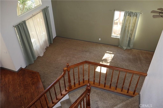 stairway with a healthy amount of sunlight and carpet flooring