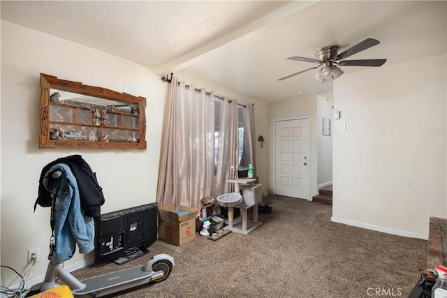 miscellaneous room with ceiling fan and carpet