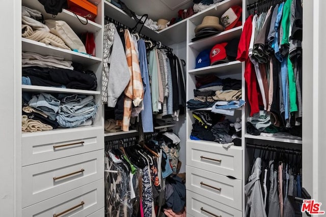 view of spacious closet