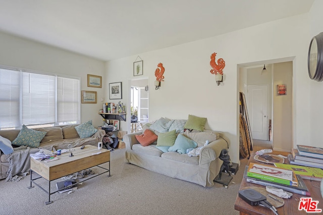 living room with carpet