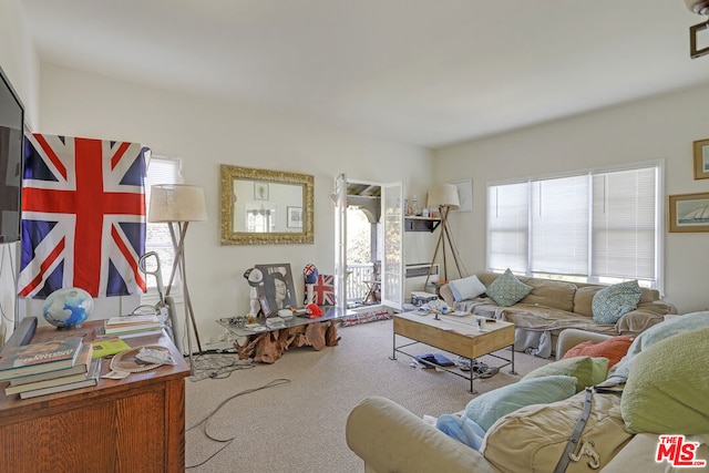 view of carpeted living room