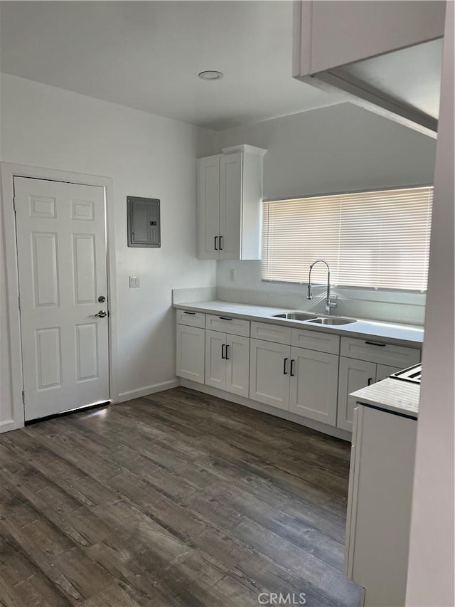 kitchen featuring white cabinetry, sink, dark wood-type flooring, and electric panel