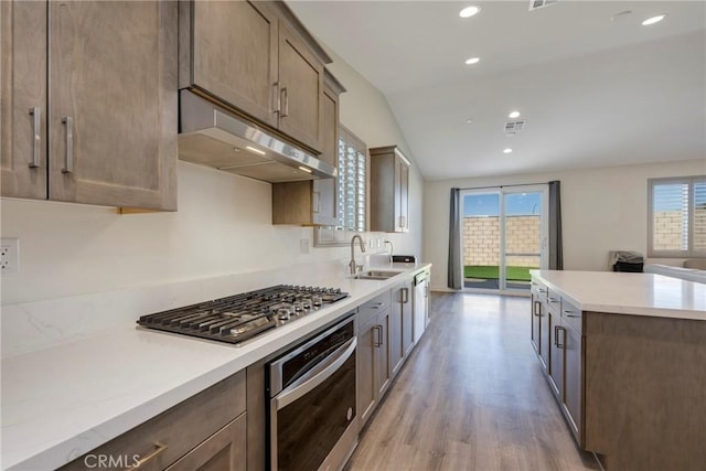 kitchen featuring plenty of natural light, appliances with stainless steel finishes, sink, and light wood-type flooring