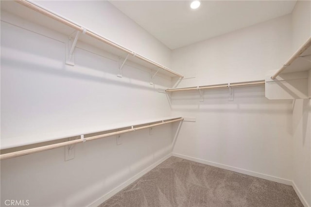 spacious closet with carpet flooring