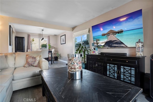 living room featuring hardwood / wood-style floors