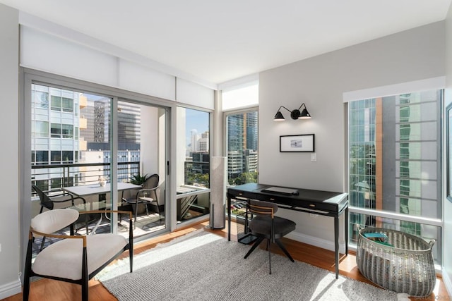 office space with hardwood / wood-style flooring and a healthy amount of sunlight