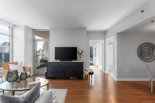 living room featuring wood-type flooring