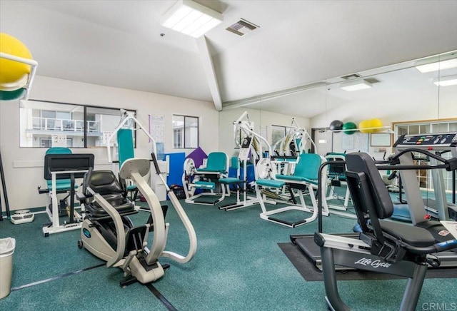 workout area with vaulted ceiling