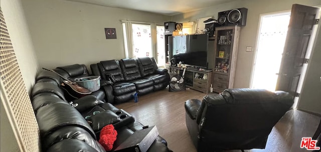 living room with dark hardwood / wood-style floors