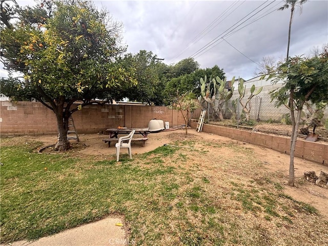 view of yard with a patio