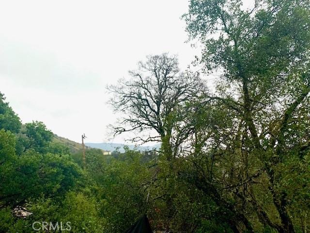 3010 California St, Nice, CA 95464 - photo 3
