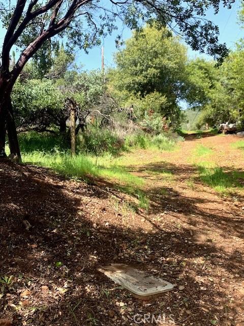 3010 California St, Nice, CA 95464 - photo 4
