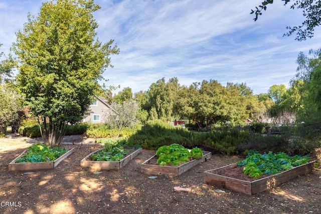 view of yard featuring a garden