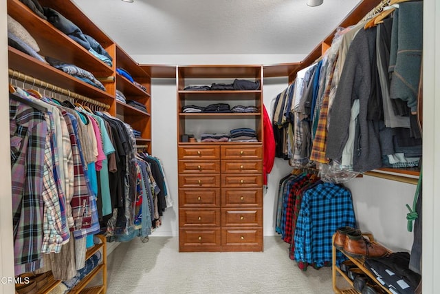 walk in closet featuring carpet floors