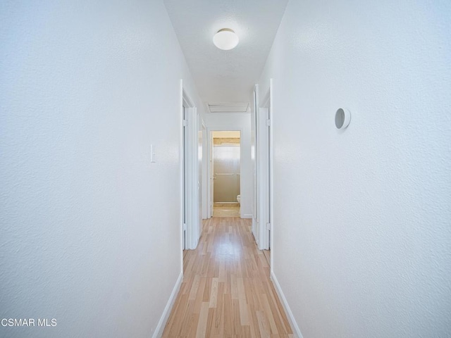 hall with light hardwood / wood-style flooring