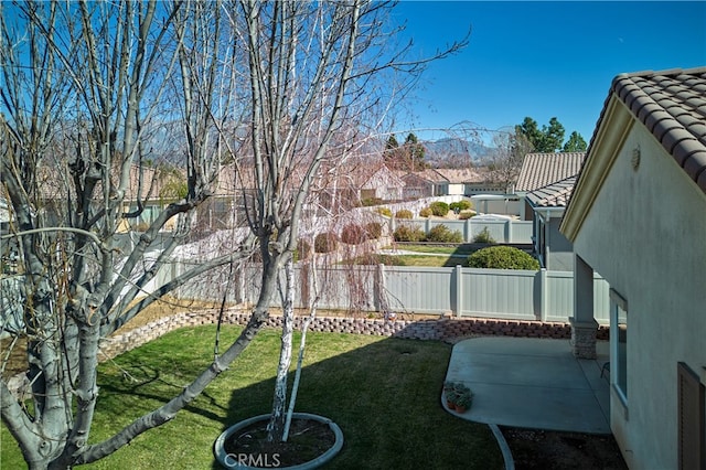 view of yard featuring a patio area