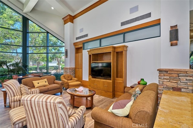 living room featuring a healthy amount of sunlight, wood-type flooring, and a high ceiling