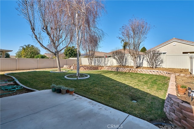 view of yard with a patio