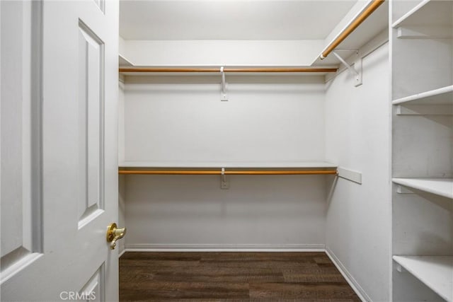 walk in closet with dark wood-type flooring