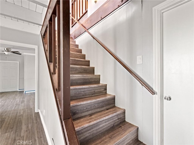 staircase with hardwood / wood-style flooring and ceiling fan