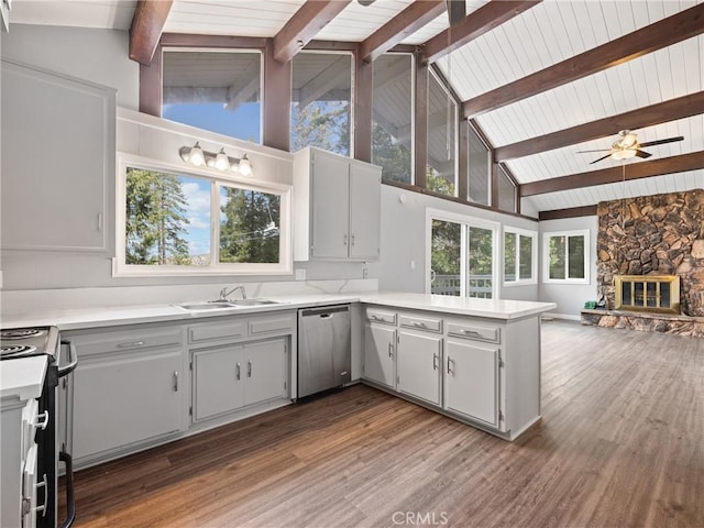 kitchen with sink, plenty of natural light, stainless steel dishwasher, and range