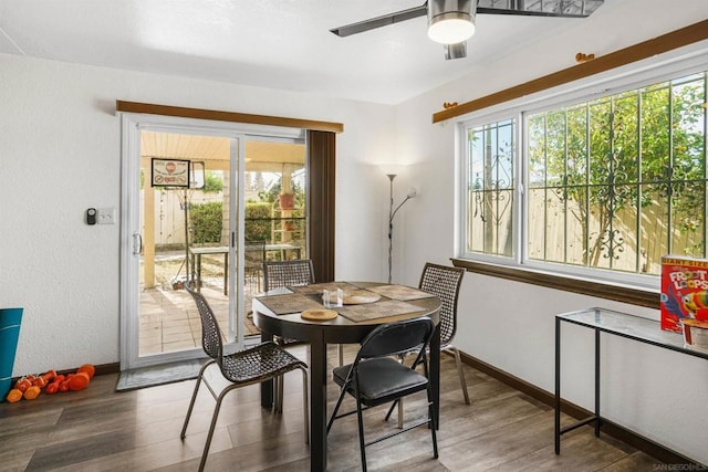 dining room featuring ceiling fan, plenty of natural light, and dark hardwood / wood-style flooring