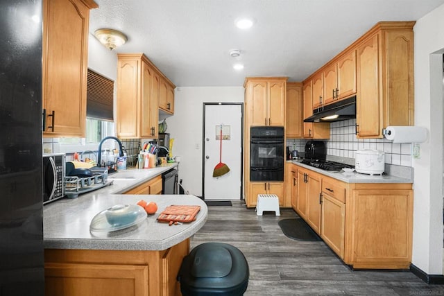 kitchen featuring tasteful backsplash, sink, dark hardwood / wood-style floors, and black appliances