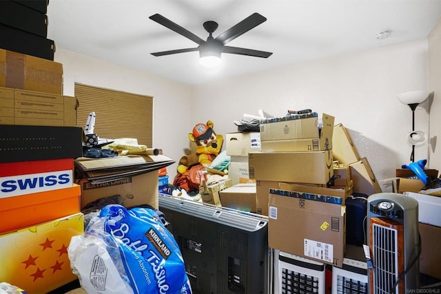 storage featuring ceiling fan